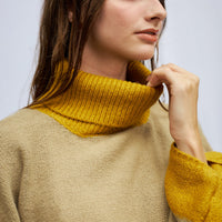 two-tone soft knit turtle top