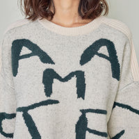 signature logo chunky knit