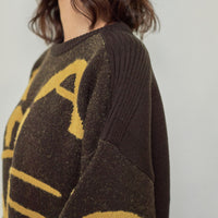 signature logo chunky knit