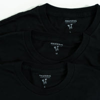 AMATERAS logo T