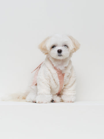 fluffy lux KIMONO for puppy / ivory