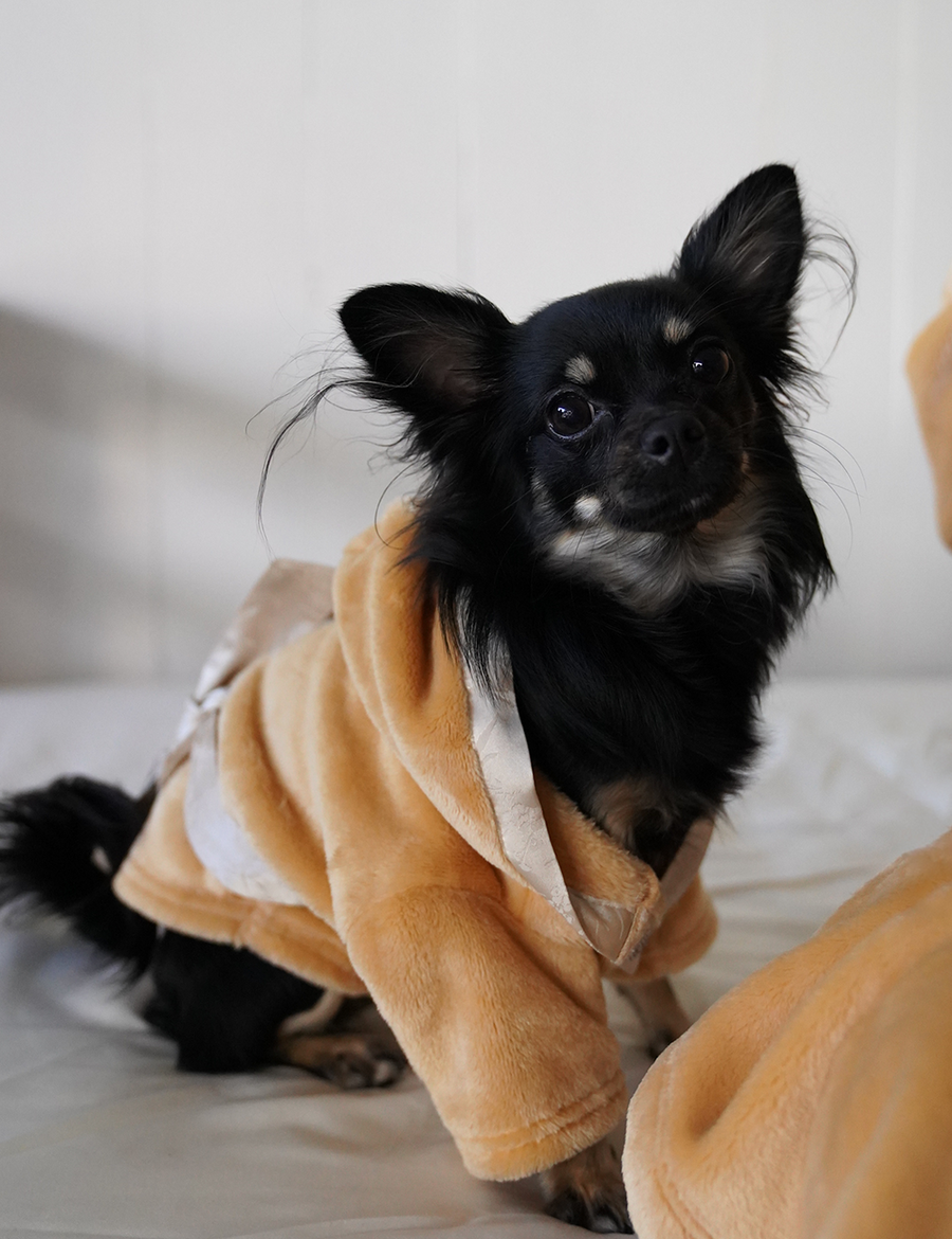 Cuddle Cloud Luxe KIMONO Robe for Puppy / Honey(light yellow)
