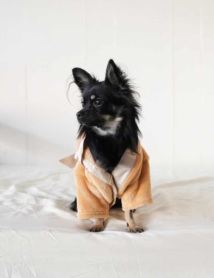 Cuddle Cloud Luxe KIMONO Robe for Puppy / Honey(light yellow)