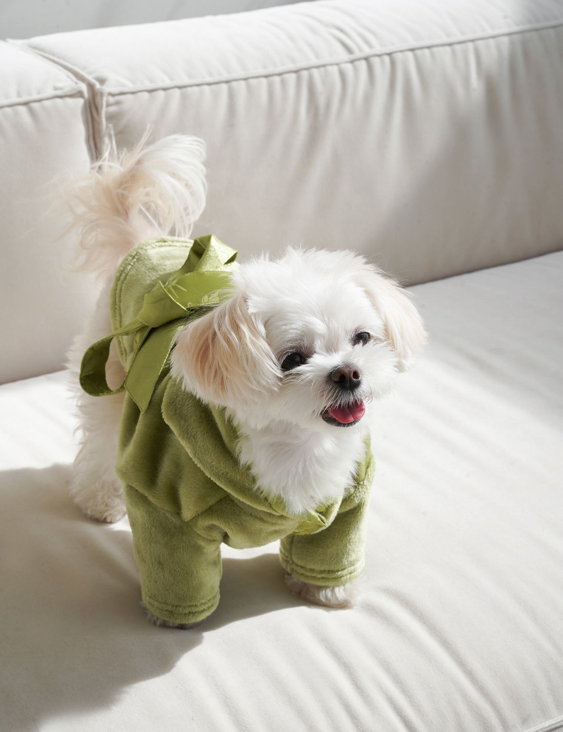 Cuddle Cloud Luxe KIMONO Robe for Puppy / 松葉(khaki)