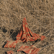 soft warm blanket / brown