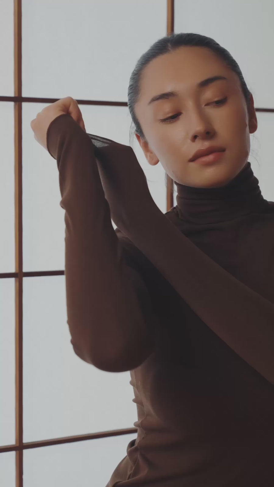 Sheer Grace Turtleneck / 焦茶(dark brown)