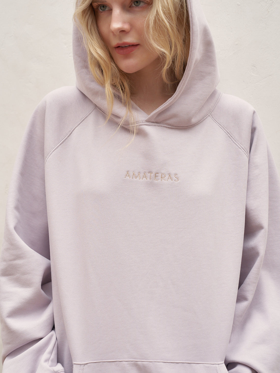 AMATERAS hoodie MLサイズ | gellonautos.cl